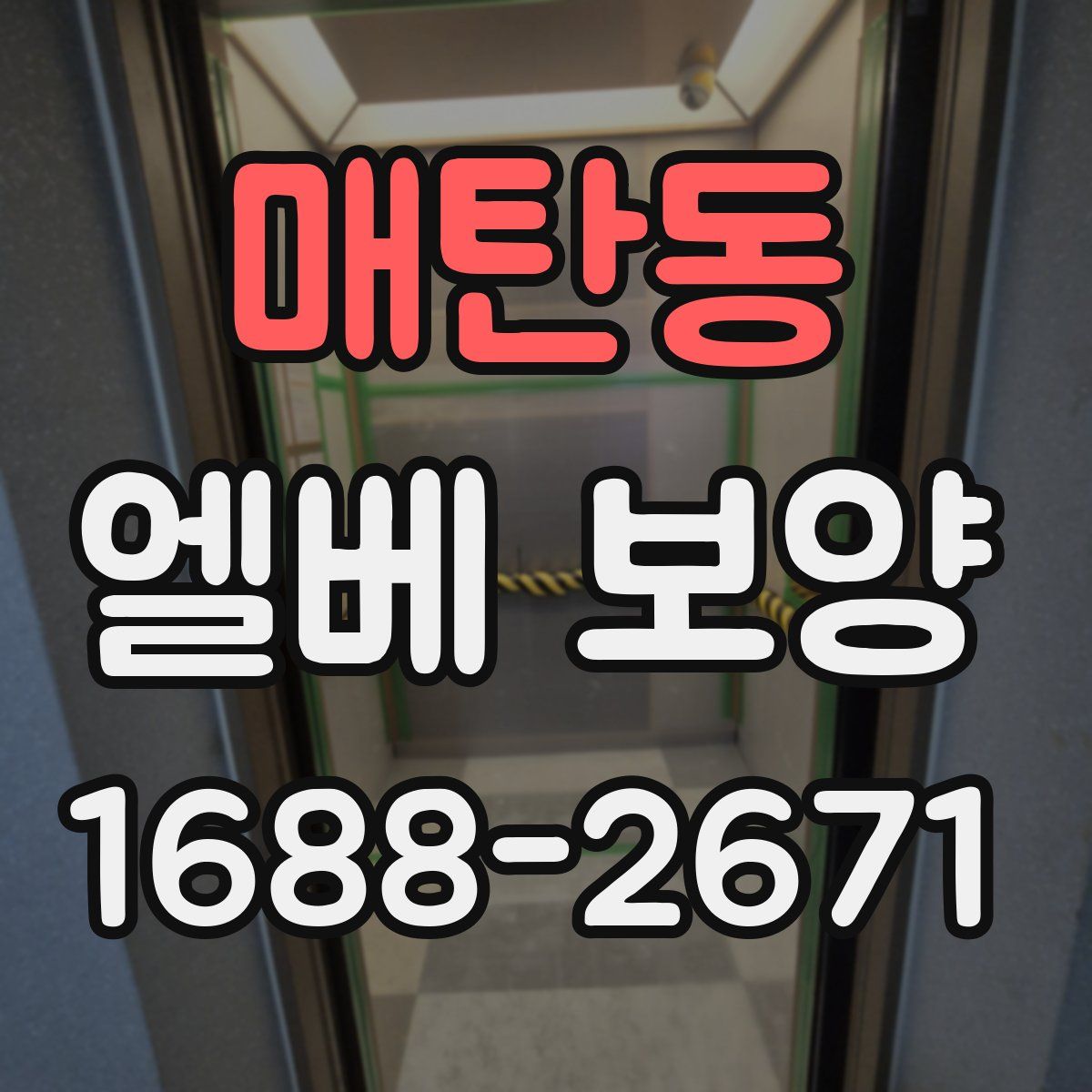 매탄동 엘베 보양