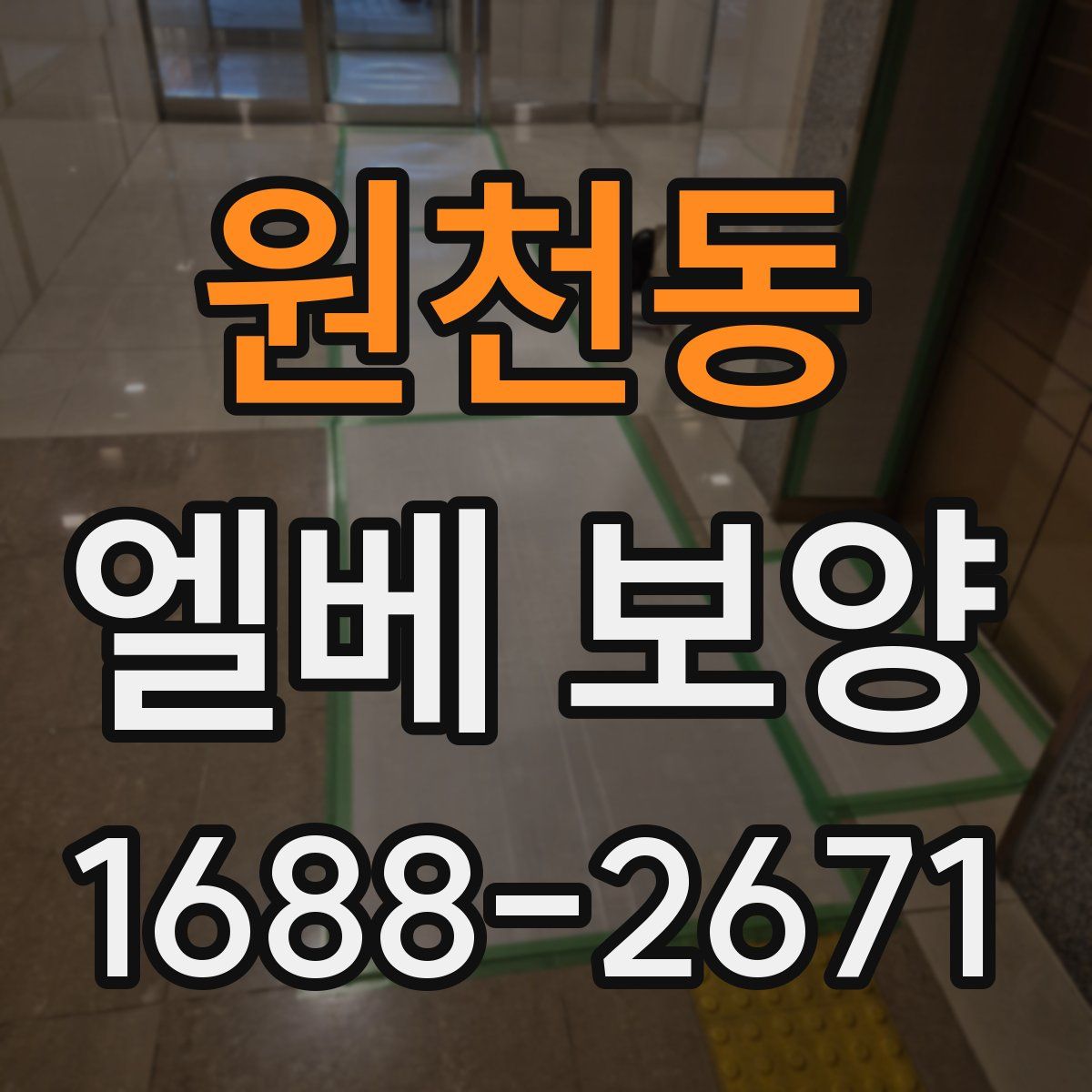 원천동 엘베 보양