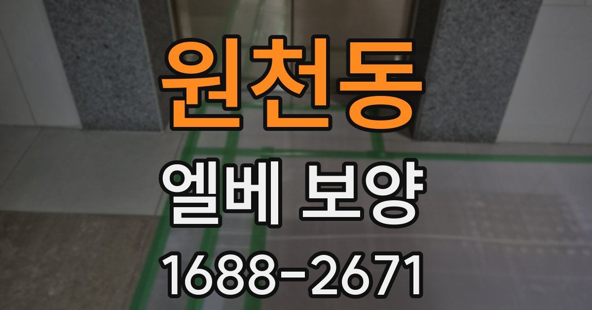 원천동 엘베 보양