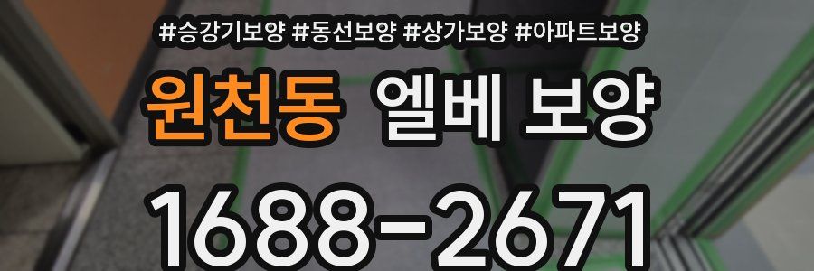 원천동 엘베 보양