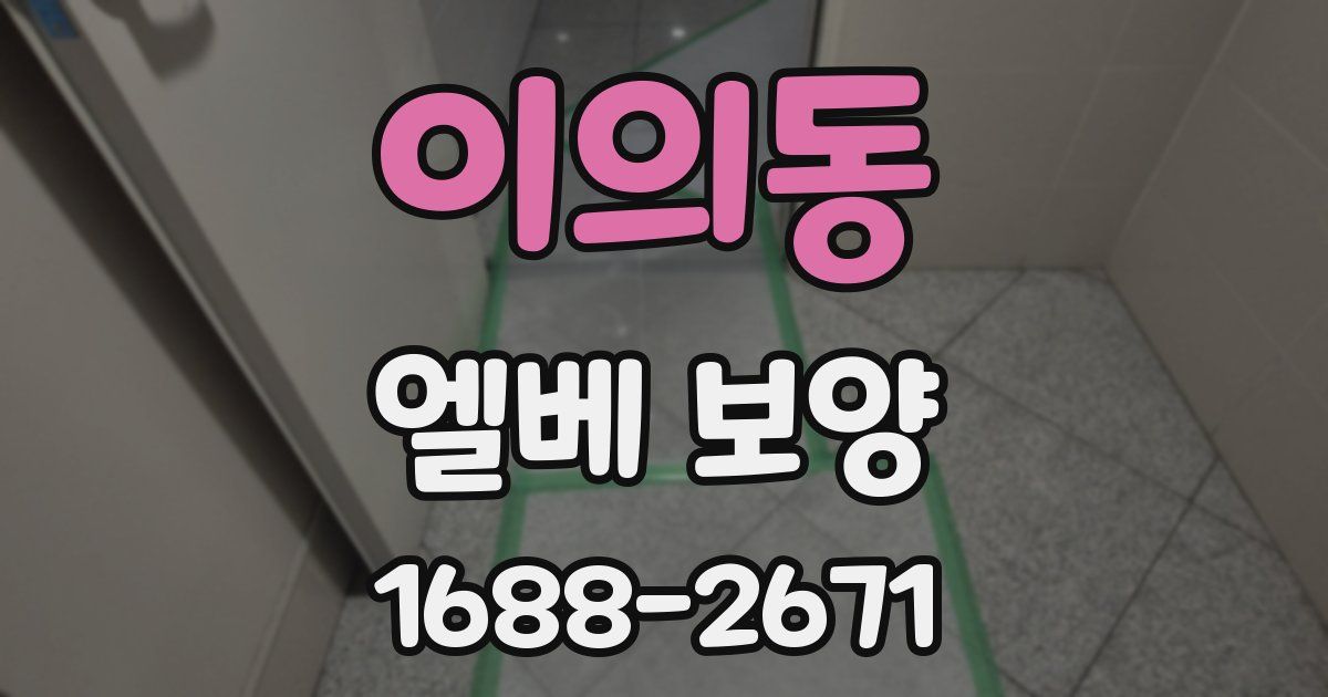이의동 엘베 보양