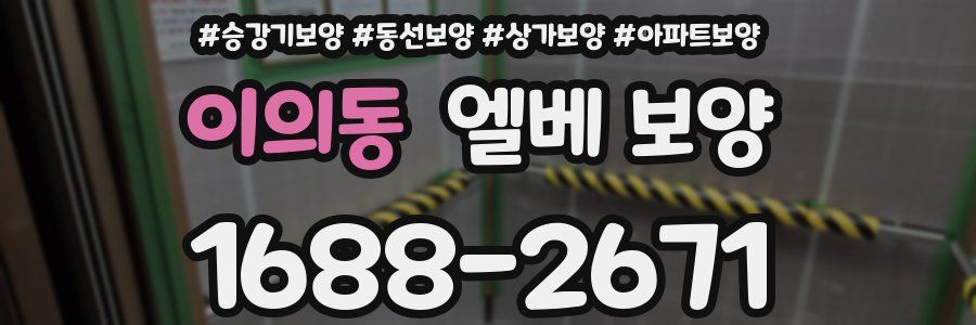이의동 엘베 보양