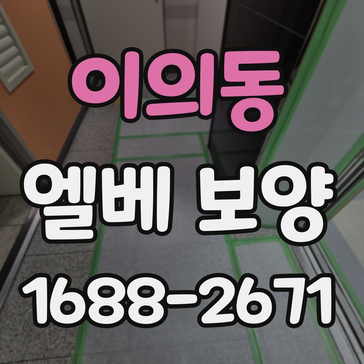 이의동 엘베 보양