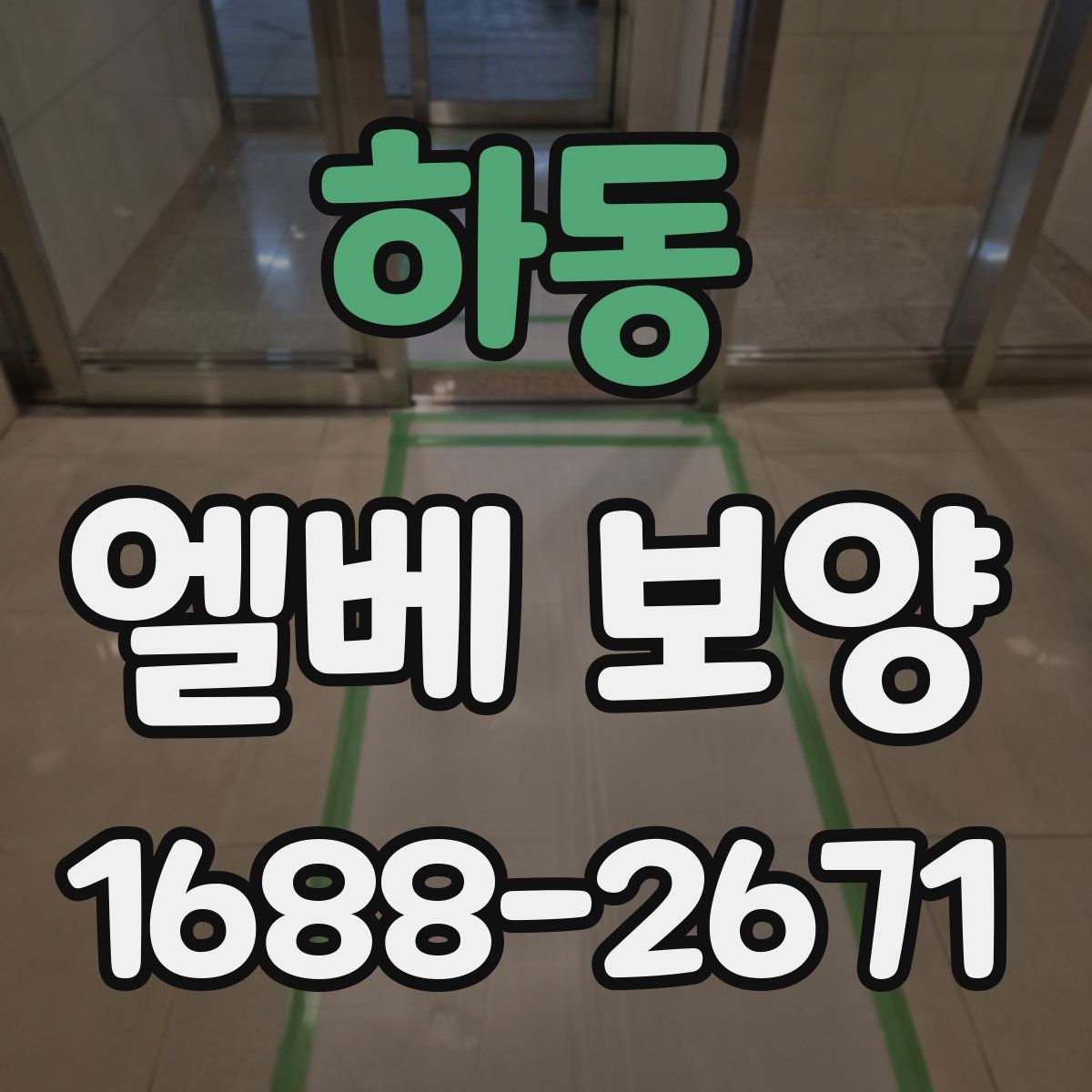 하동 엘베 보양