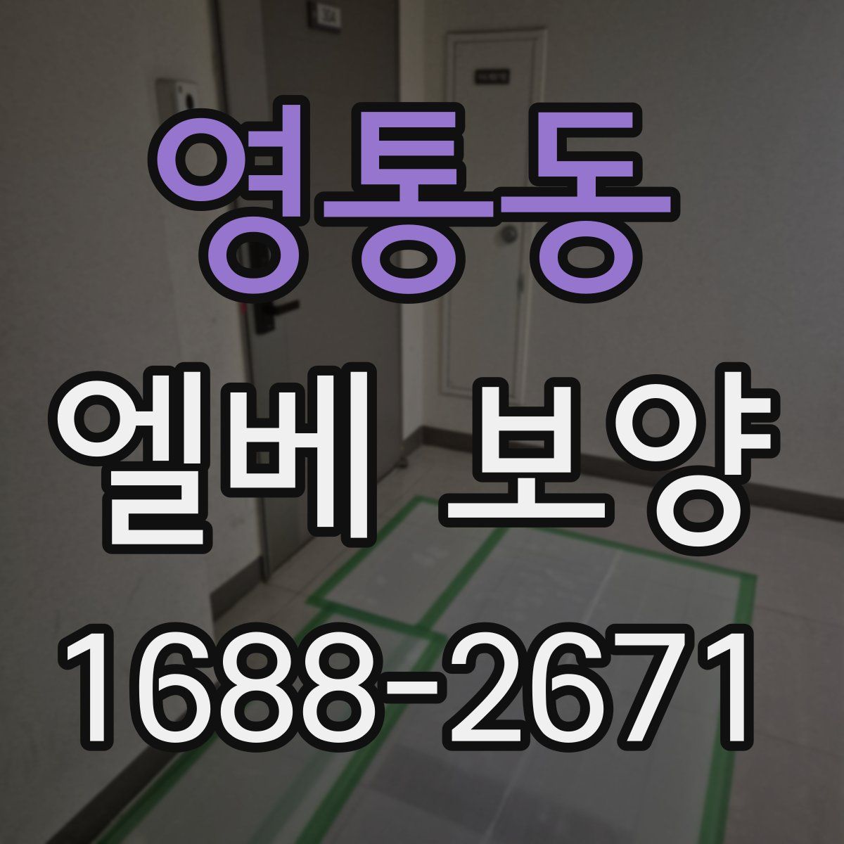 영통동 엘베 보양