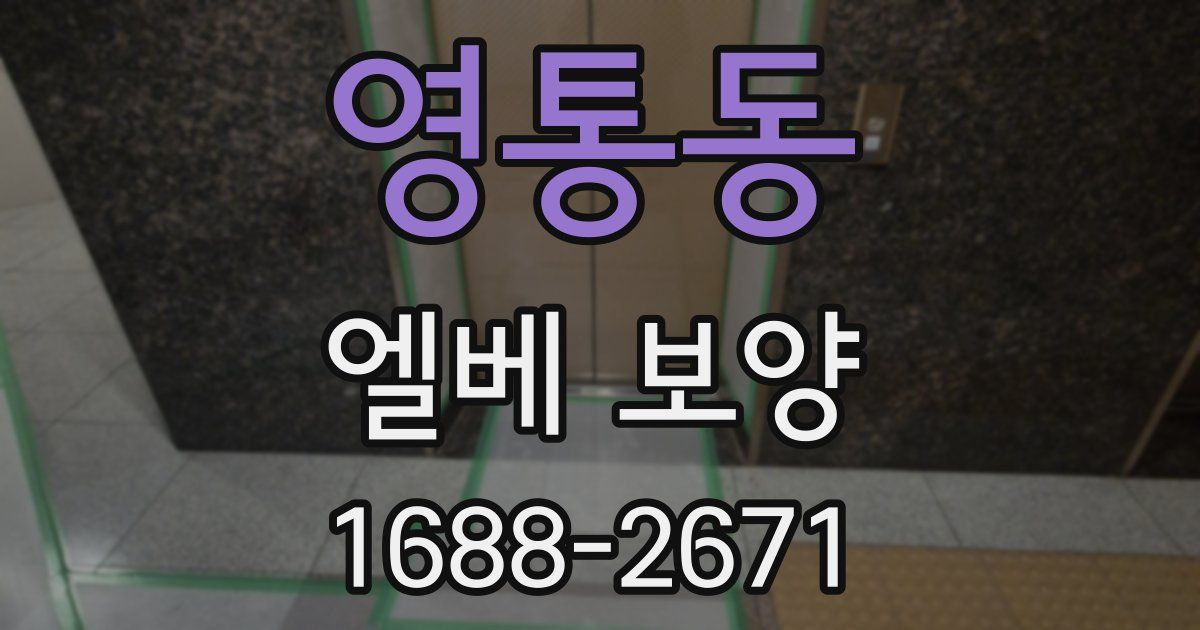 영통동 엘베 보양