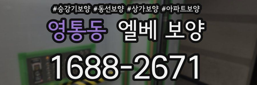 영통동 엘베 보양