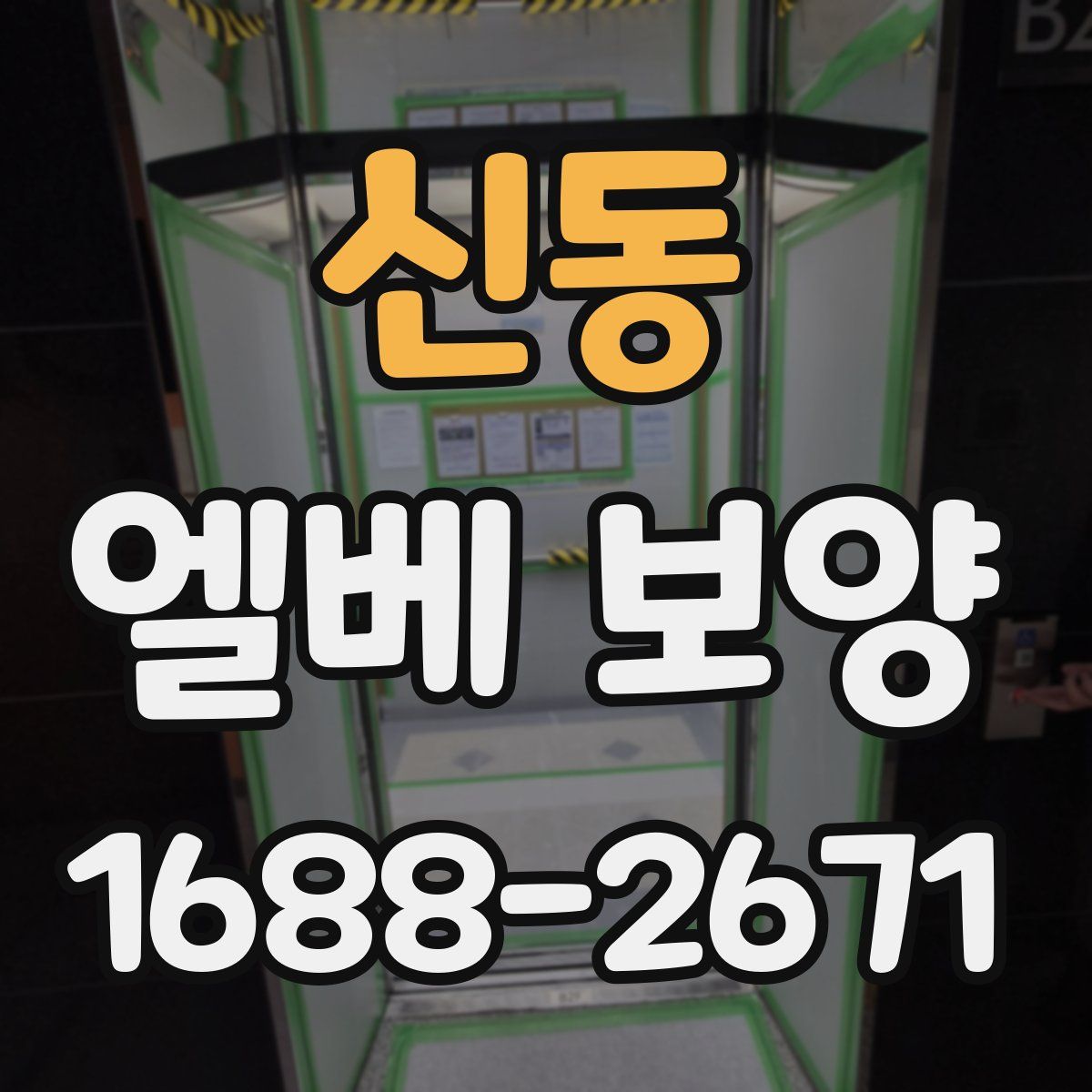 신동 엘베 보양