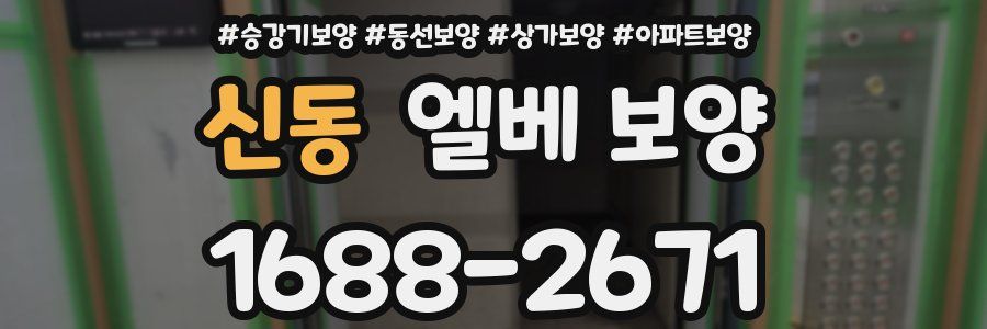 신동 엘베 보양