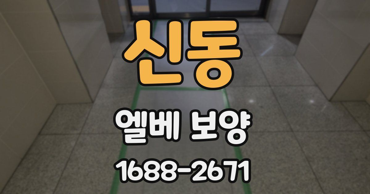 신동 엘베 보양
