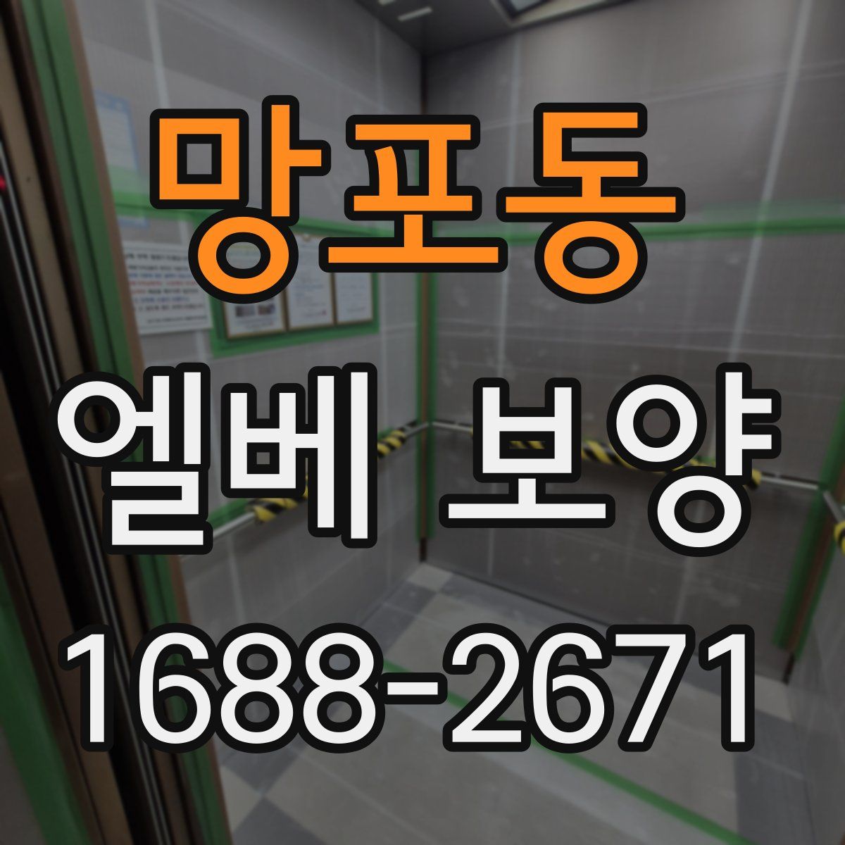 망포동 엘베 보양