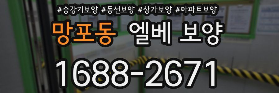 망포동 엘베 보양