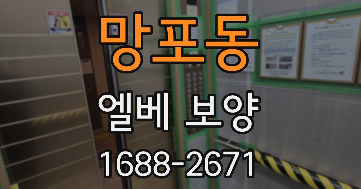망포동 엘베 보양