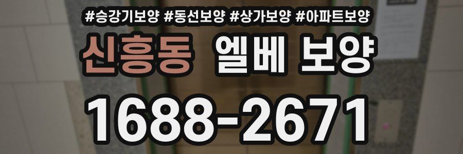 신흥동 엘베 보양