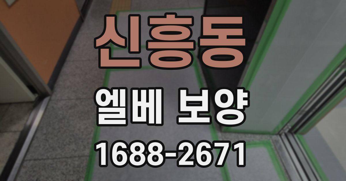 신흥동 엘베 보양