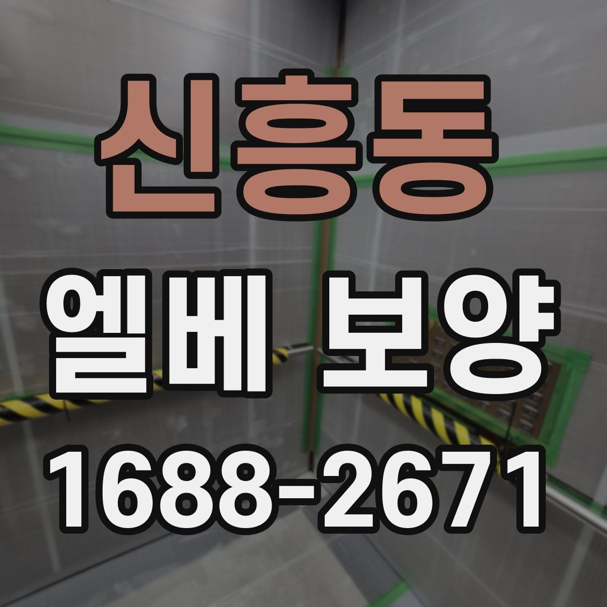 신흥동 엘베 보양