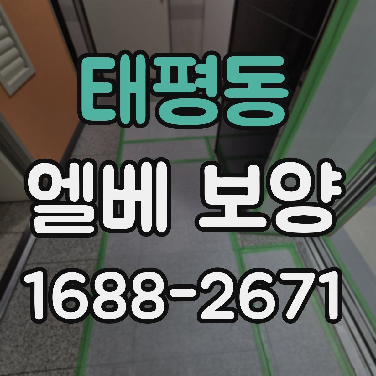 태평동 엘베 보양