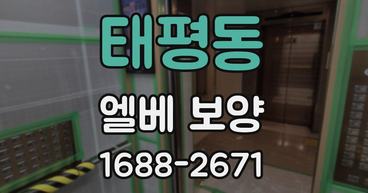 태평동 엘베 보양