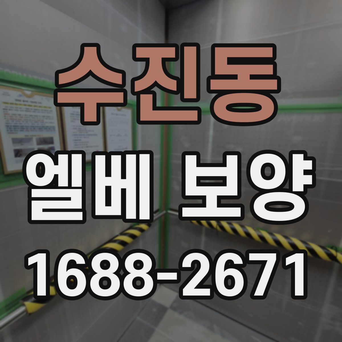 수진동 엘베 보양