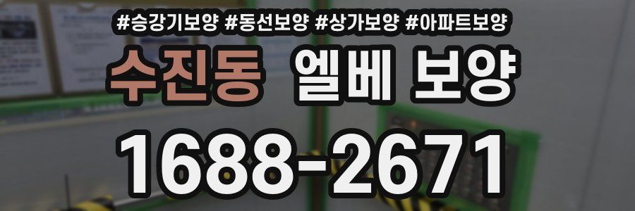 수진동 엘베 보양