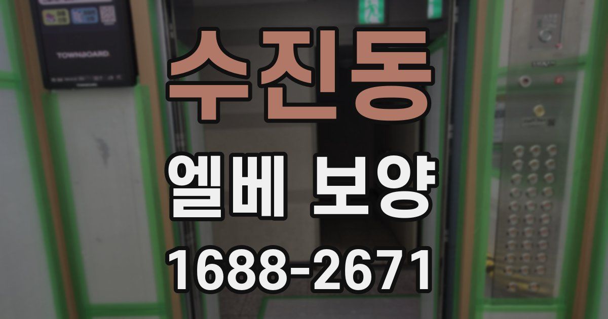 수진동 엘베 보양