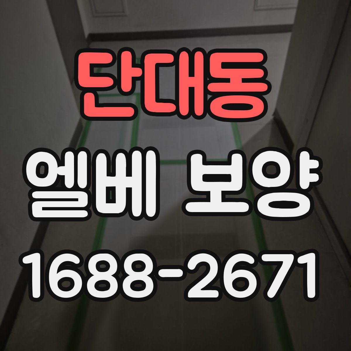 단대동 엘베 보양