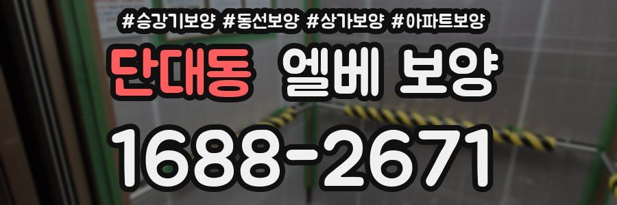 단대동 엘베 보양