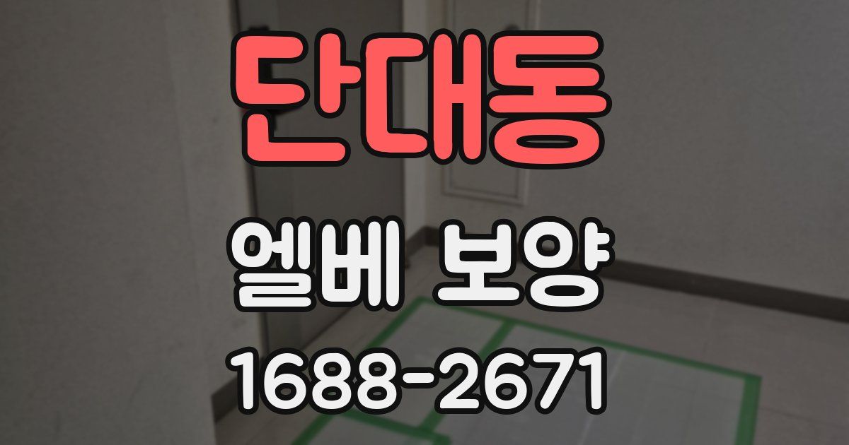 단대동 엘베 보양
