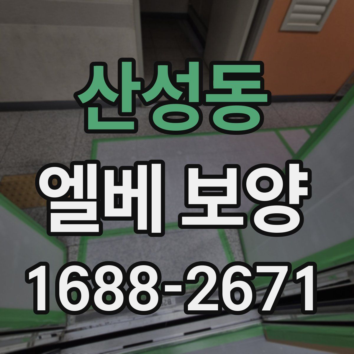 산성동 엘베 보양