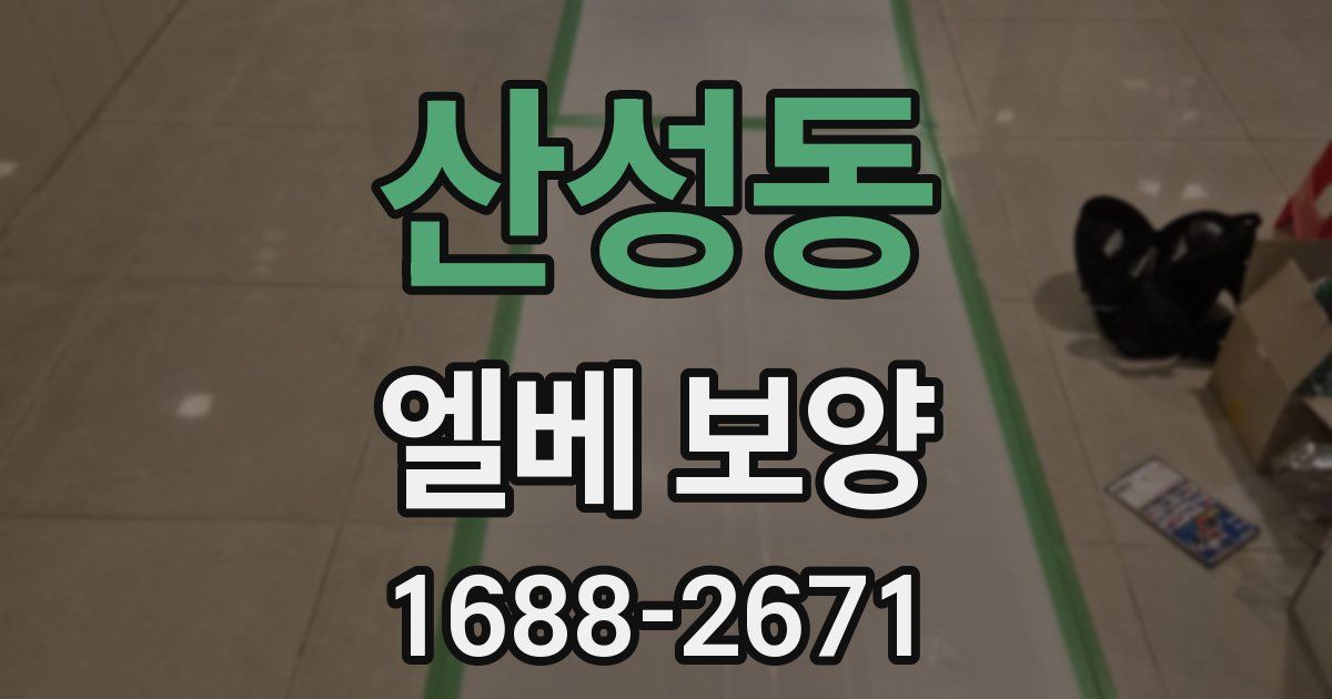 산성동 엘베 보양