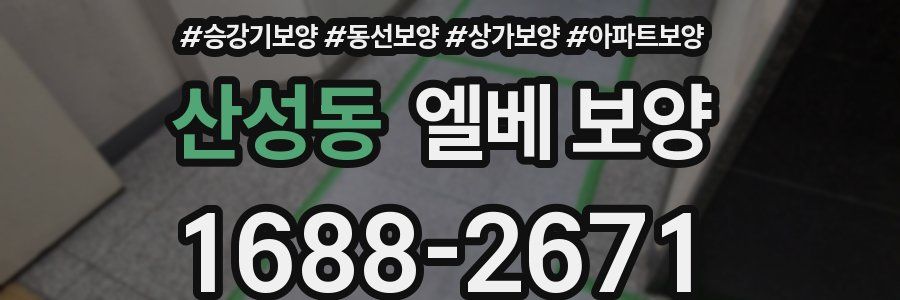 산성동 엘베 보양