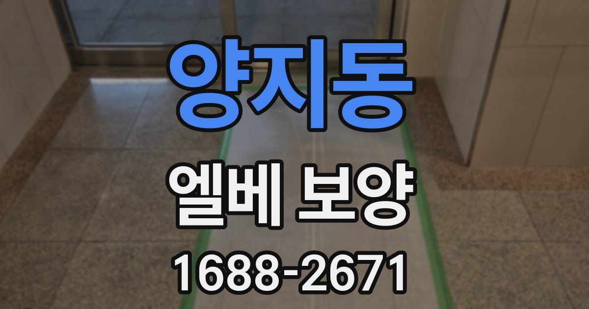 양지동 엘베 보양