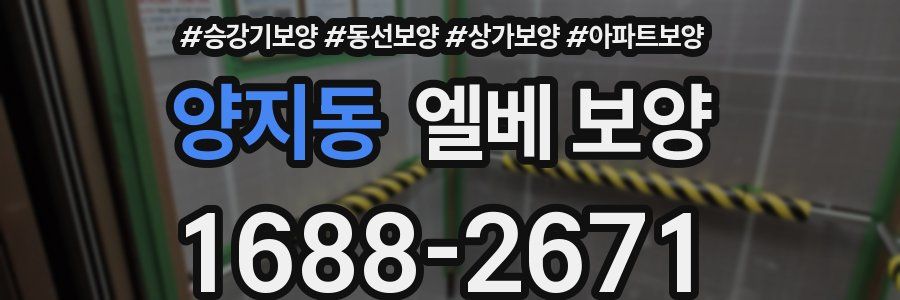 양지동 엘베 보양