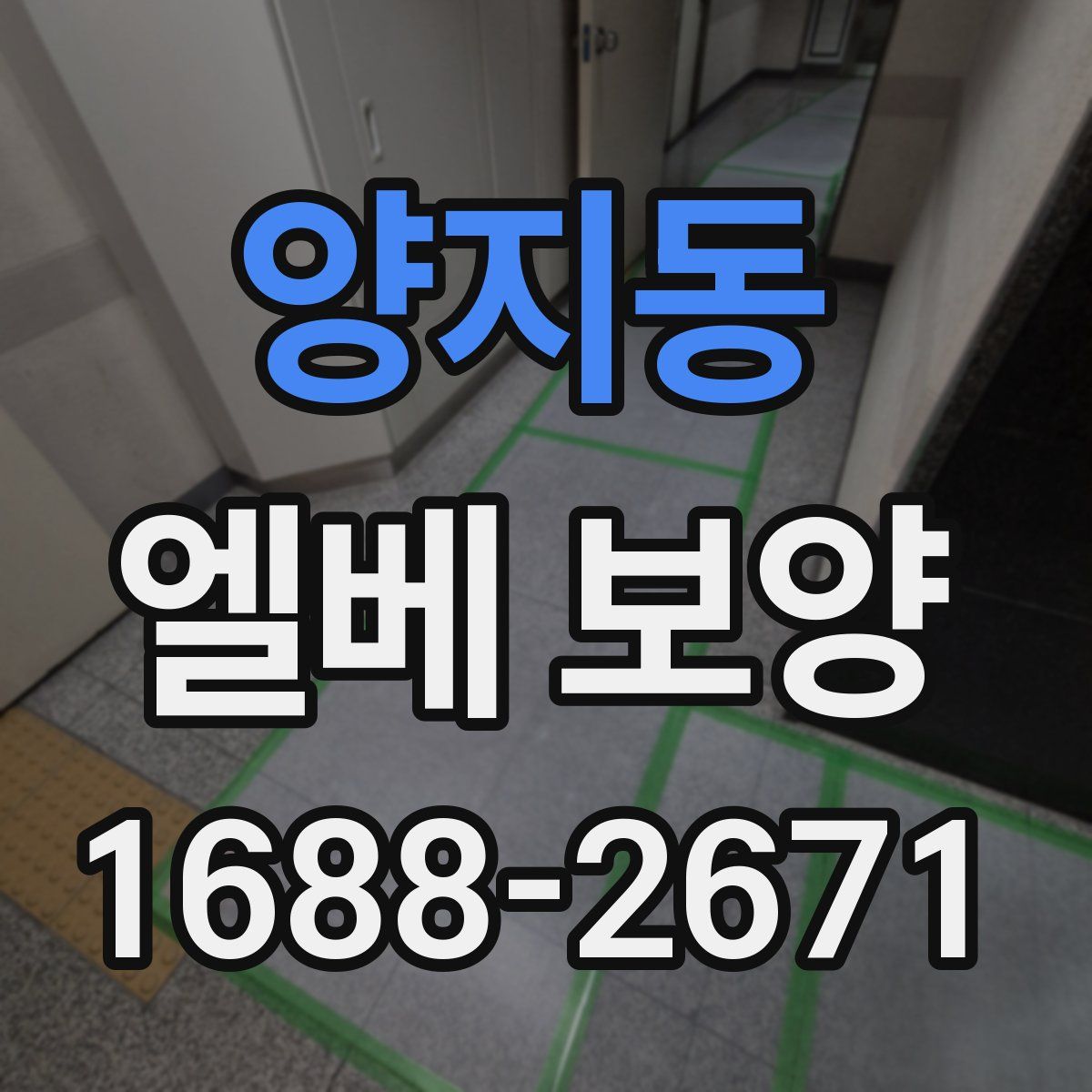 양지동 엘베 보양