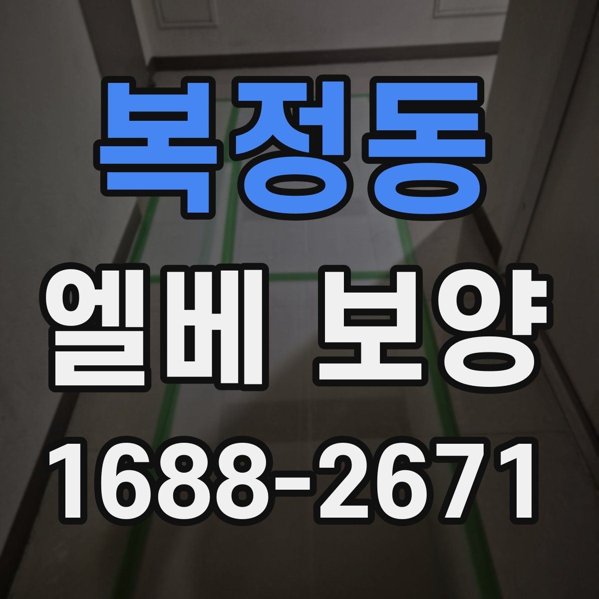 복정동 엘베 보양 대형 이사 현장에 맞춘 보호 범위 설정