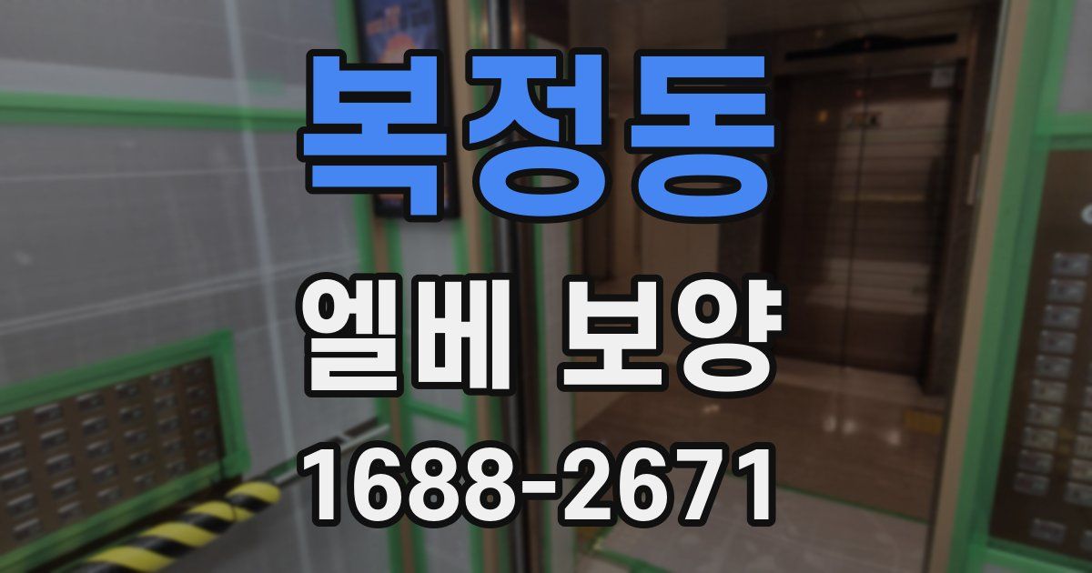 복정동 엘베 보양