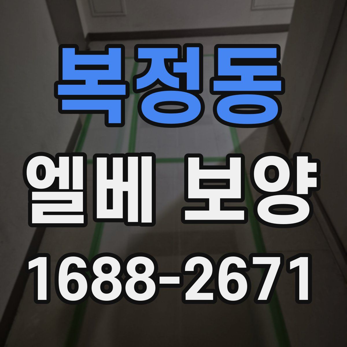 복정동 엘베 보양