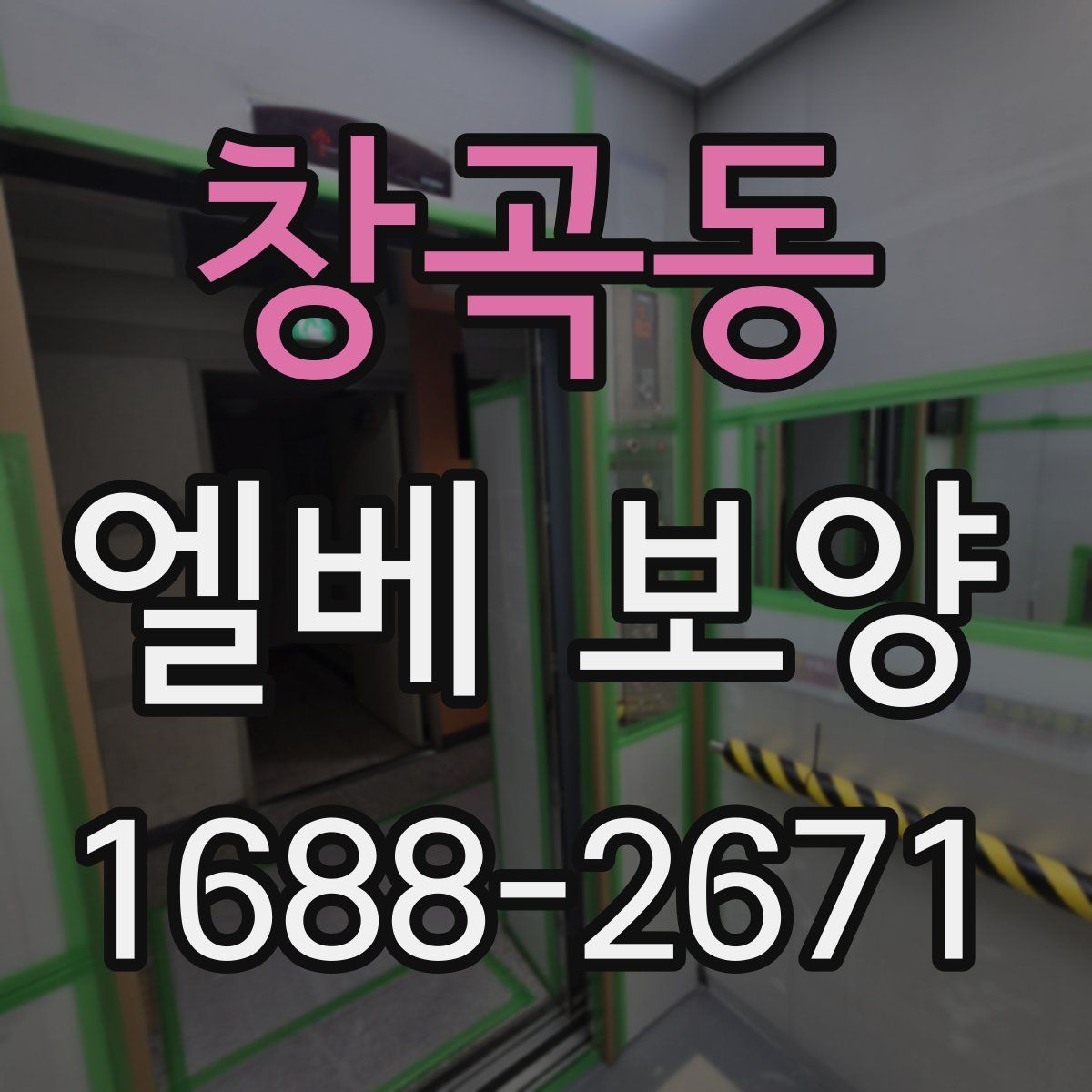 창곡동 엘베 보양