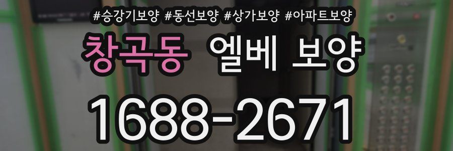 창곡동 엘베 보양