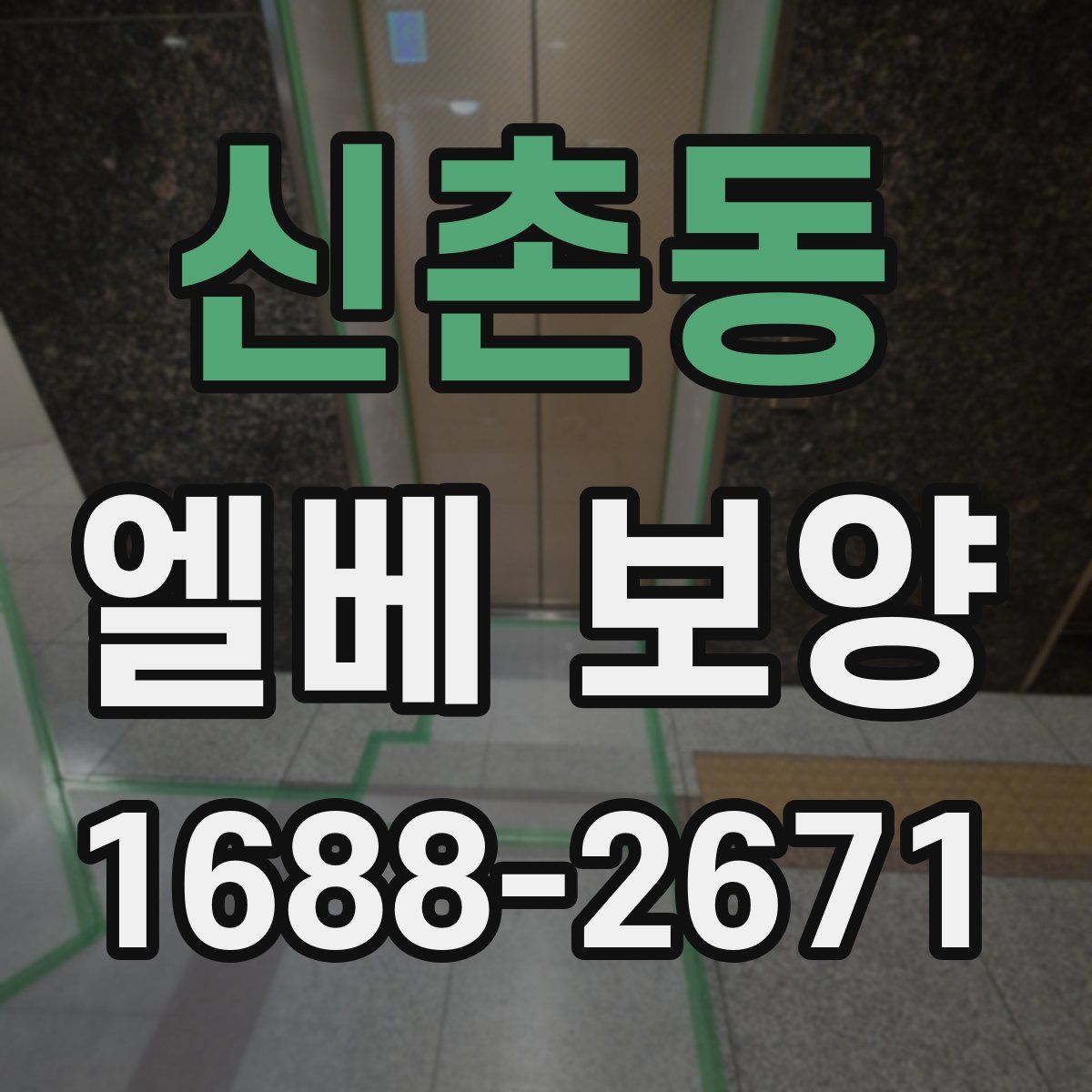 신촌동 엘베 보양