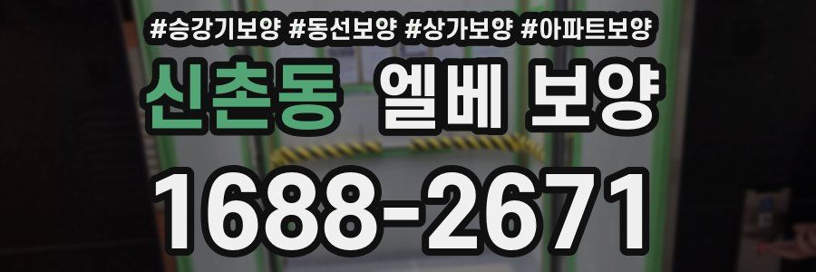 신촌동 엘베 보양