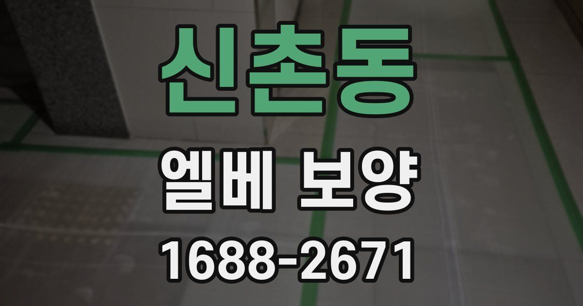 신촌동 엘베 보양