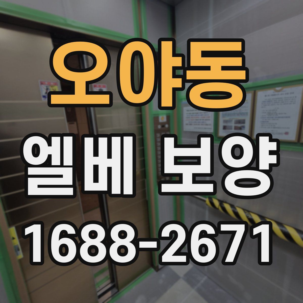 오야동 엘베 보양