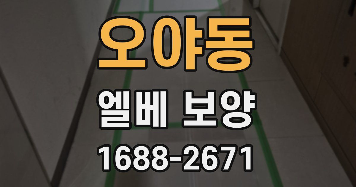 오야동 엘베 보양