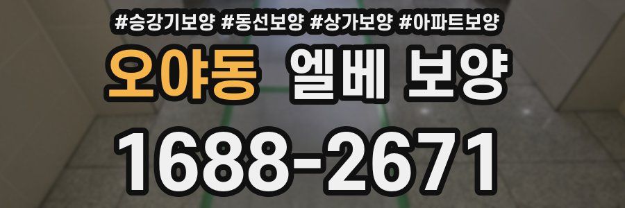 오야동 엘베 보양