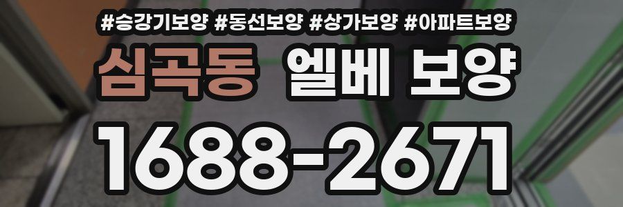 심곡동 엘베 보양