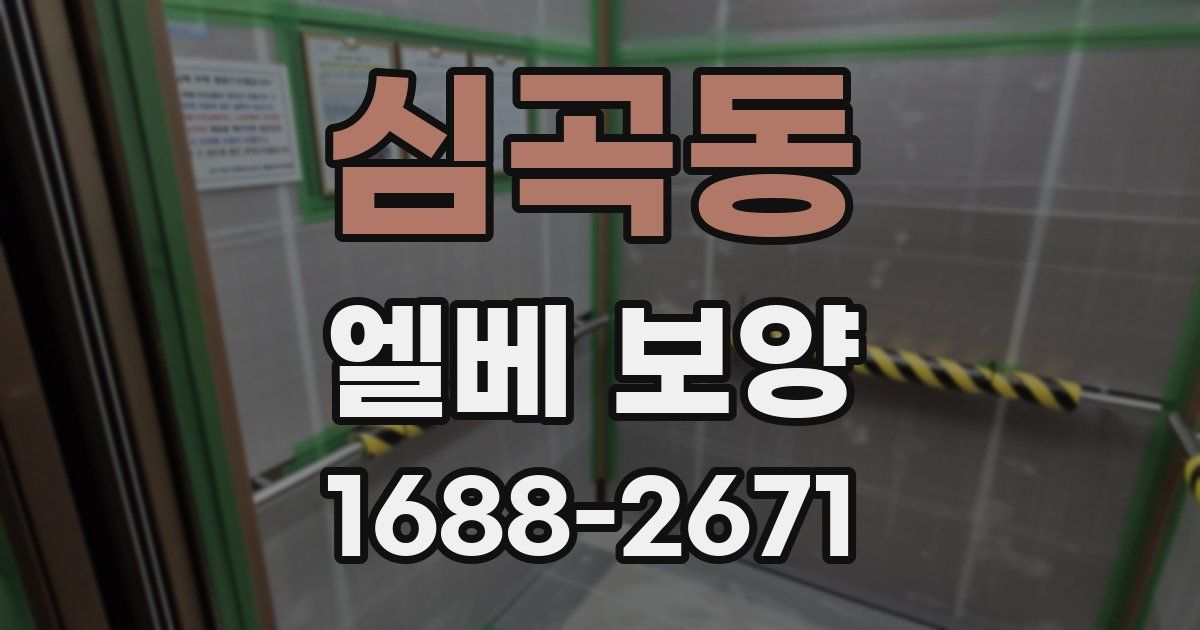 심곡동 엘베 보양