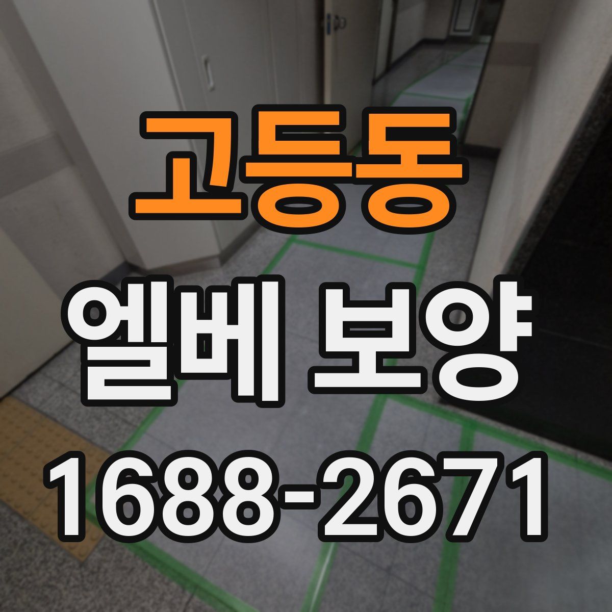 고등동 엘베 보양