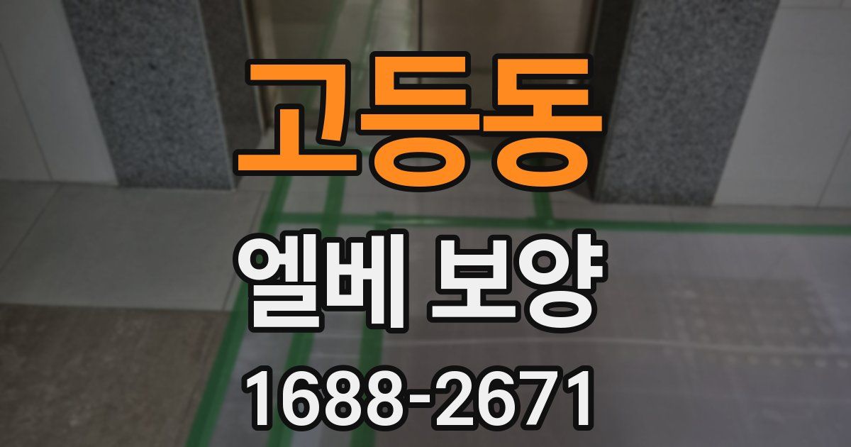 고등동 엘베 보양