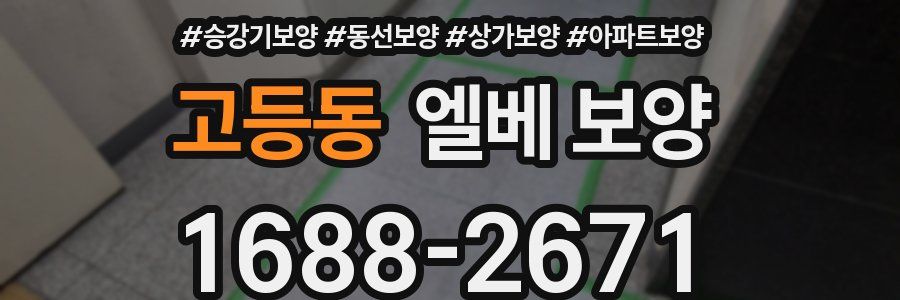 고등동 엘베 보양
